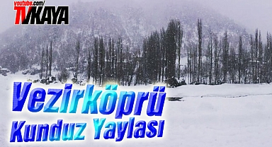 Vezirköprü Kunduz Yaylası 2014 Kar Manzarası